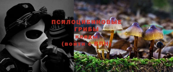 apvp Аркадак