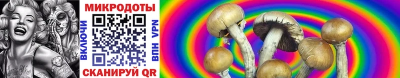 как найти наркотики  Ленск  Псилоцибиновые грибы MAGIC MUSHROOMS 